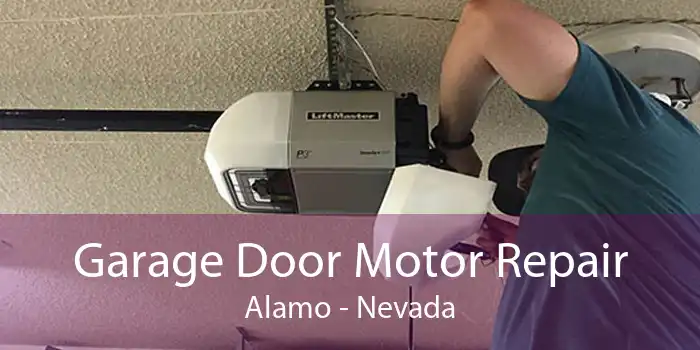 Garage Door Motor Repair Alamo - Nevada