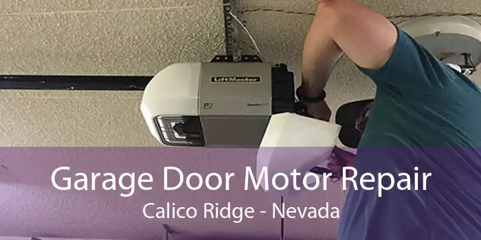Garage Door Motor Repair Calico Ridge - Nevada