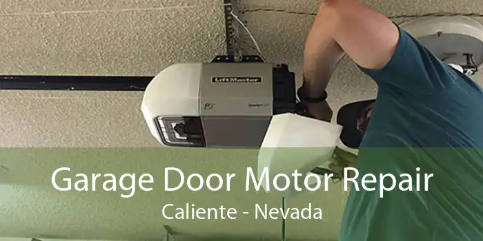 Garage Door Motor Repair Caliente - Nevada
