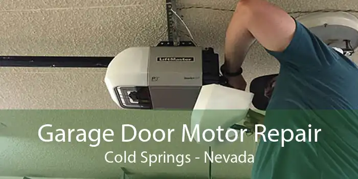 Garage Door Motor Repair Cold Springs - Nevada