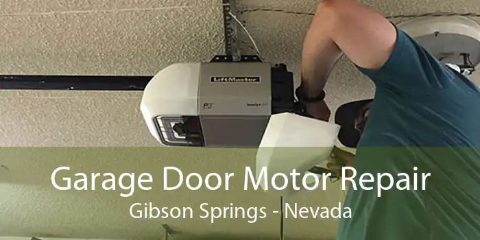 Garage Door Motor Repair Gibson Springs - Nevada