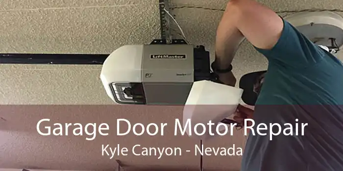 Garage Door Motor Repair Kyle Canyon - Nevada