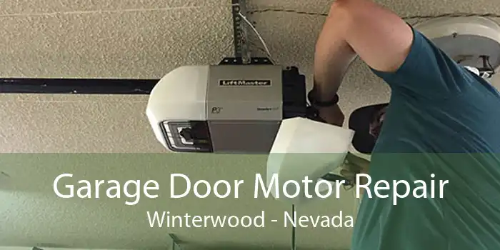 Garage Door Motor Repair Winterwood - Nevada