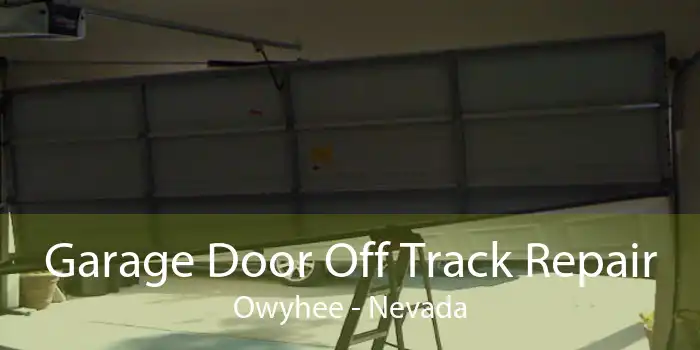 Garage Door Off Track Repair Owyhee - Nevada