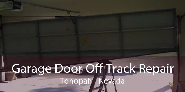 Garage Door Off Track Repair Tonopah - Nevada
