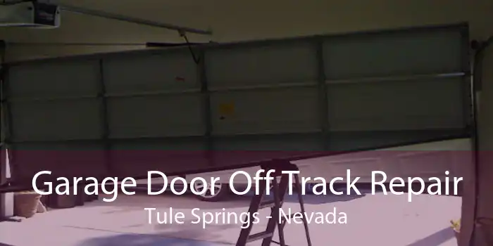 Garage Door Off Track Repair Tule Springs - Nevada