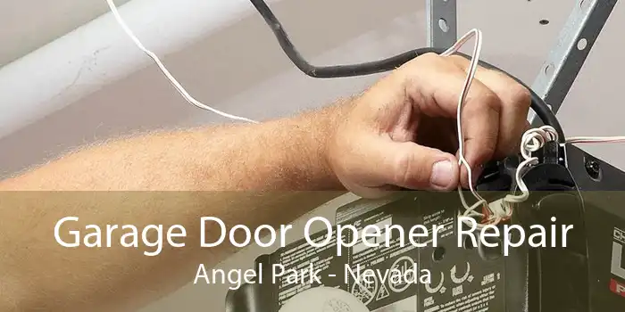 Garage Door Opener Repair Angel Park - Nevada