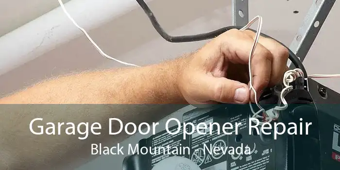 Garage Door Opener Repair Black Mountain - Nevada