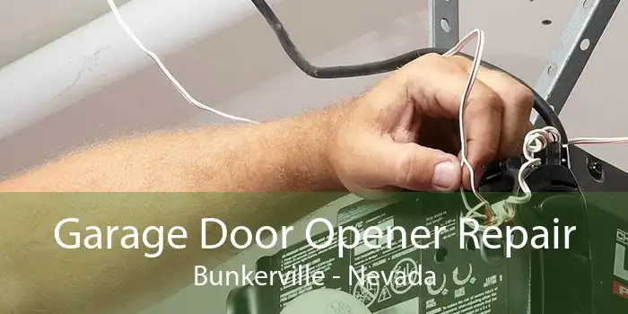 Garage Door Opener Repair Bunkerville - Nevada