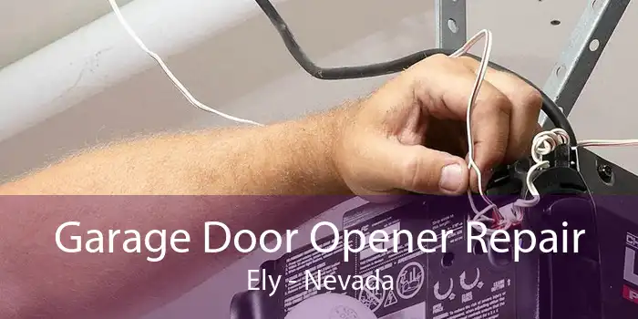 Garage Door Opener Repair Ely - Nevada
