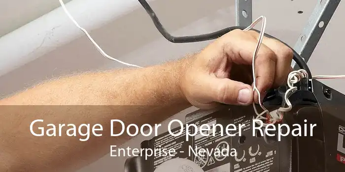 Garage Door Opener Repair Enterprise - Nevada