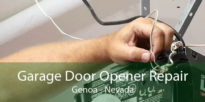 Garage Door Opener Repair Genoa - Nevada