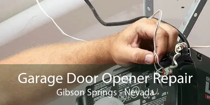 Garage Door Opener Repair Gibson Springs - Nevada