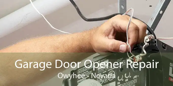 Garage Door Opener Repair Owyhee - Nevada