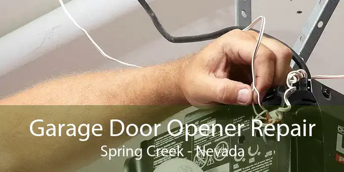 Garage Door Opener Repair Spring Creek - Nevada