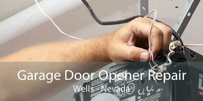Garage Door Opener Repair Wells - Nevada