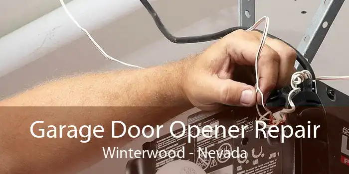 Garage Door Opener Repair Winterwood - Nevada