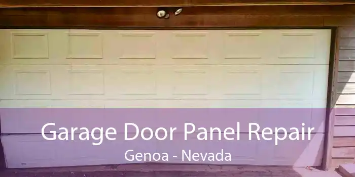 Garage Door Panel Repair Genoa - Nevada