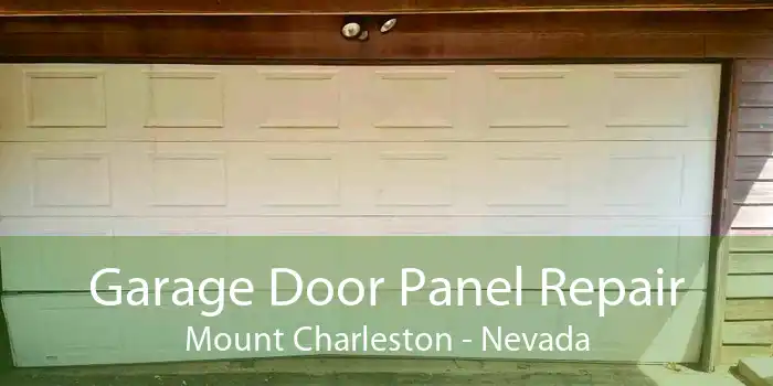 Garage Door Panel Repair Mount Charleston - Nevada