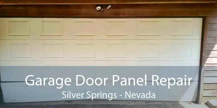Garage Door Panel Repair Silver Springs - Nevada