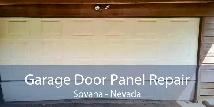 Garage Door Panel Repair Sovana - Nevada
