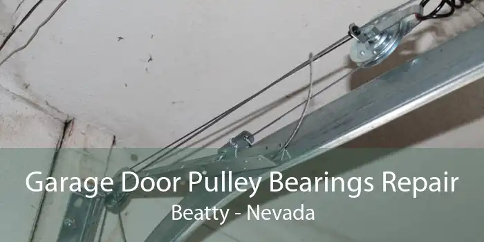Garage Door Pulley Bearings Repair Beatty - Nevada