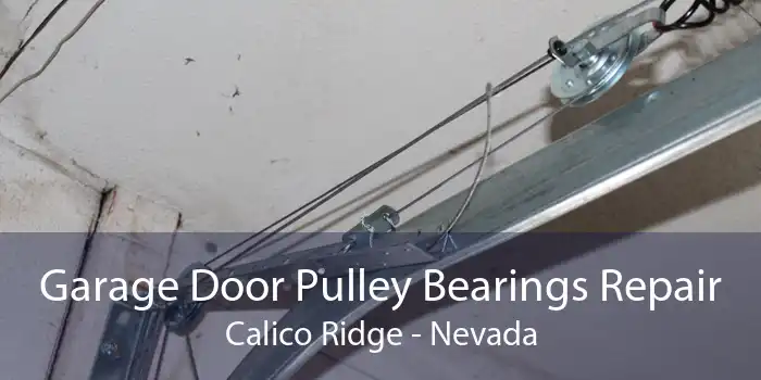 Garage Door Pulley Bearings Repair Calico Ridge - Nevada
