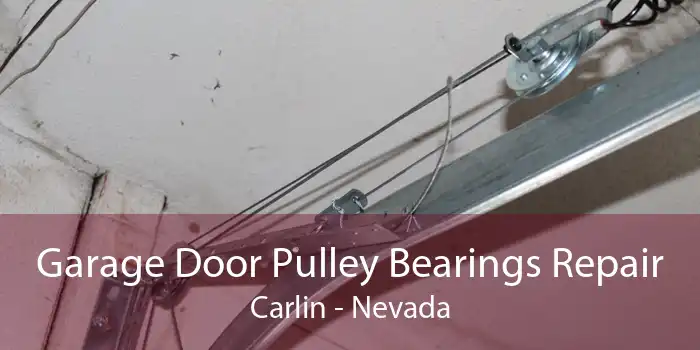 Garage Door Pulley Bearings Repair Carlin - Nevada