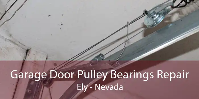 Garage Door Pulley Bearings Repair Ely - Nevada