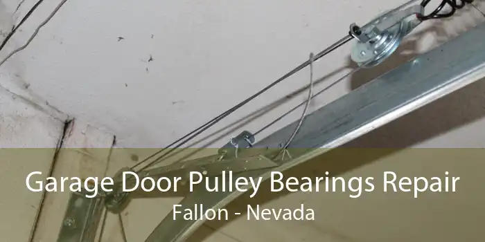 Garage Door Pulley Bearings Repair Fallon - Nevada