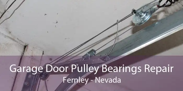 Garage Door Pulley Bearings Repair Fernley - Nevada