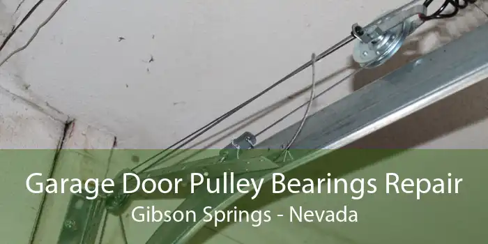 Garage Door Pulley Bearings Repair Gibson Springs - Nevada