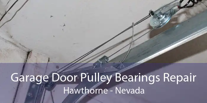 Garage Door Pulley Bearings Repair Hawthorne - Nevada