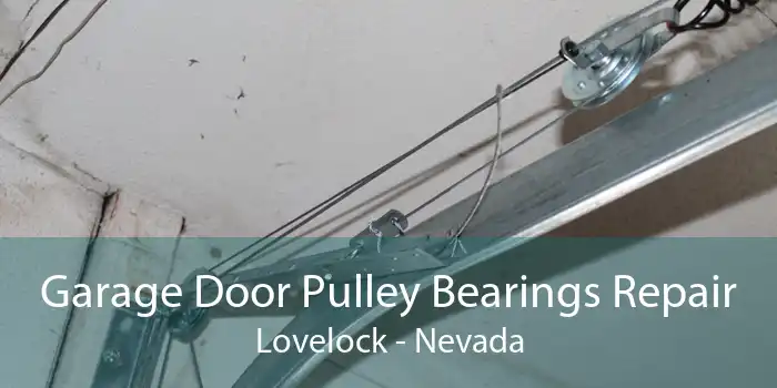 Garage Door Pulley Bearings Repair Lovelock - Nevada