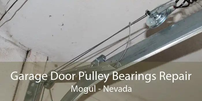 Garage Door Pulley Bearings Repair Mogul - Nevada