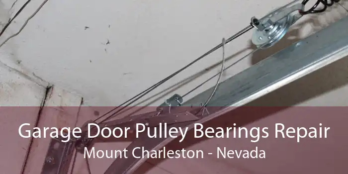 Garage Door Pulley Bearings Repair Mount Charleston - Nevada