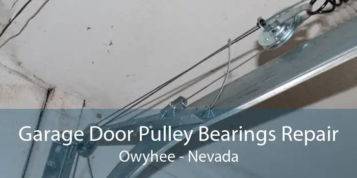 Garage Door Pulley Bearings Repair Owyhee - Nevada