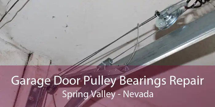 Garage Door Pulley Bearings Repair Spring Valley - Nevada