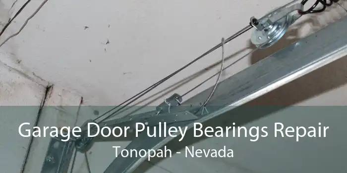 Garage Door Pulley Bearings Repair Tonopah - Nevada