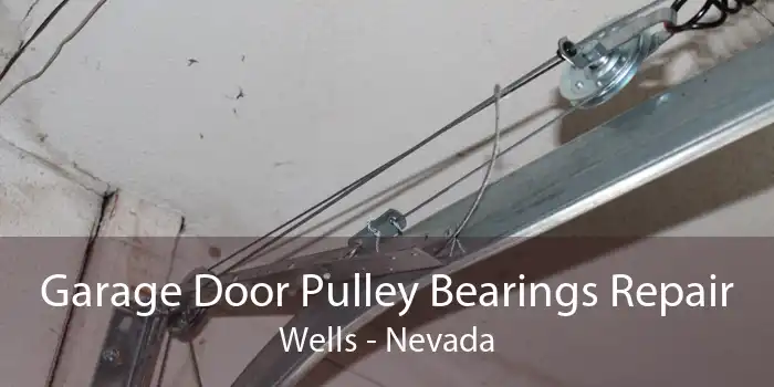 Garage Door Pulley Bearings Repair Wells - Nevada