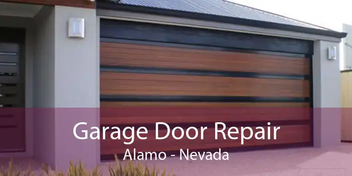 Garage Door Repair Alamo - Nevada