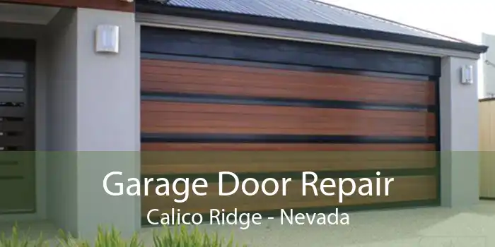 Garage Door Repair Calico Ridge - Nevada