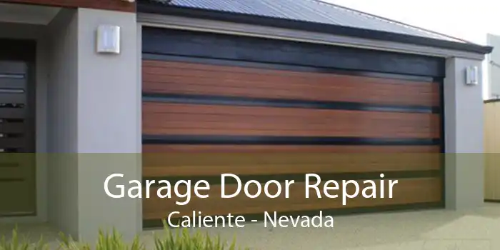 Garage Door Repair Caliente - Nevada