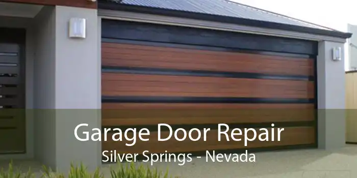 Garage Door Repair Silver Springs - Nevada