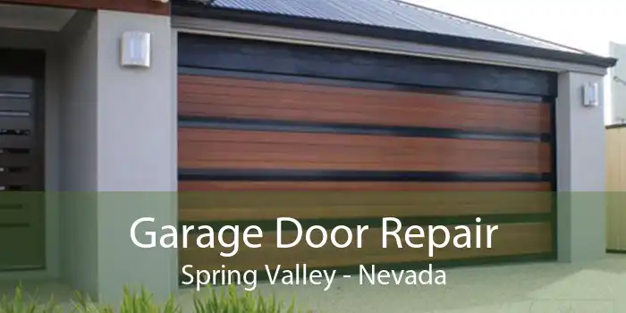 Garage Door Repair Spring Valley - Nevada
