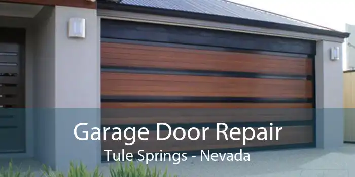 Garage Door Repair Tule Springs - Nevada