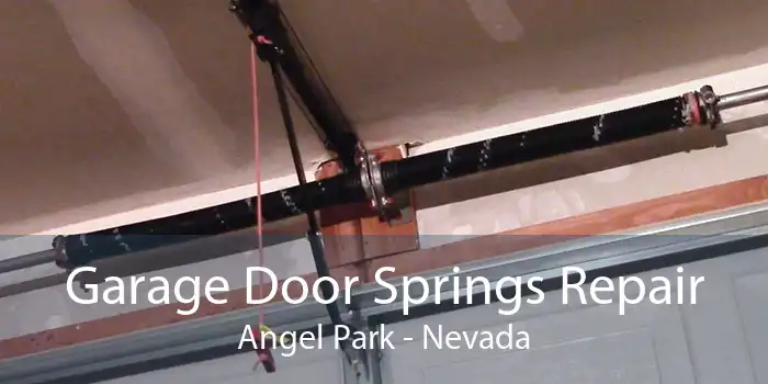 Garage Door Springs Repair Angel Park - Nevada