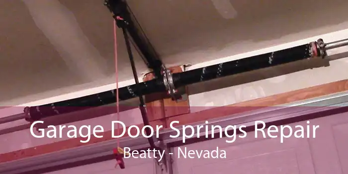 Garage Door Springs Repair Beatty - Nevada