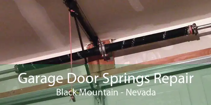 Garage Door Springs Repair Black Mountain - Nevada