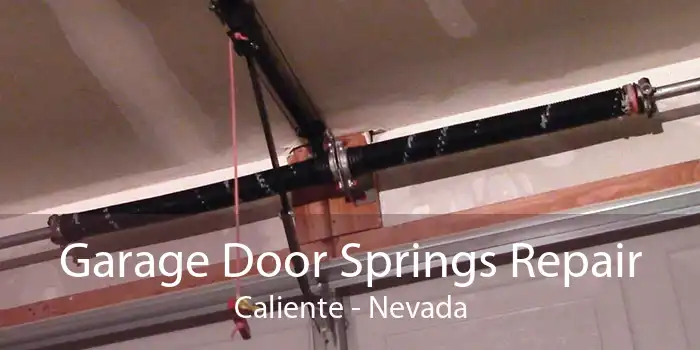 Garage Door Springs Repair Caliente - Nevada